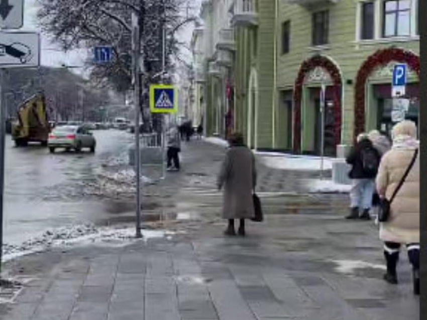 Бабушку-регулировщицу заметили в самом центре Воронежа