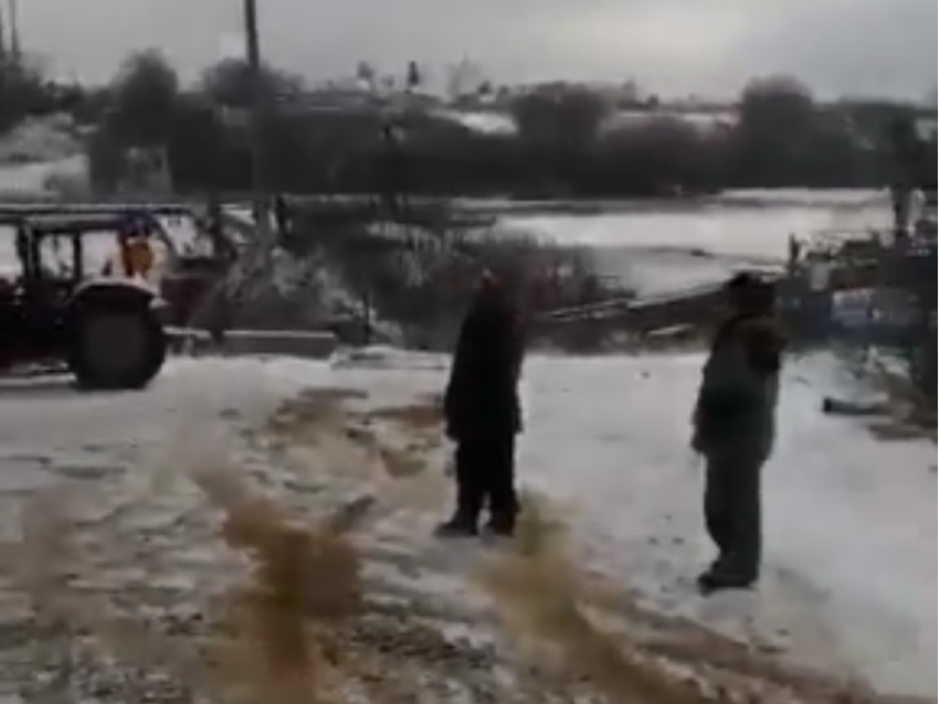 Мост новоживотинное. Понтонный мост Новоживотинное. Новоживотинное Воронежская область Понтонный мост. Новоживотинное Воронежская область мост через Дон. Понтонный мост Воронеж.
