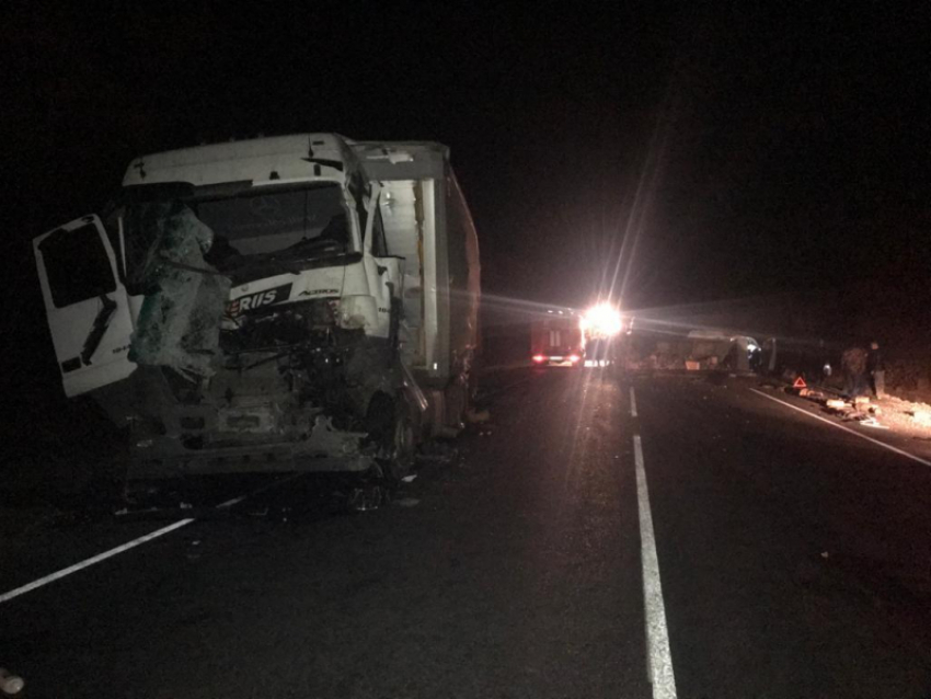 Последствия смертельного ДТП с грузовиками показали в Воронежской области