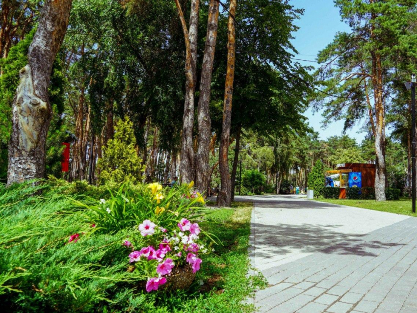 Воронежский парк «Алые паруса» открыли для посетителей после выпускного