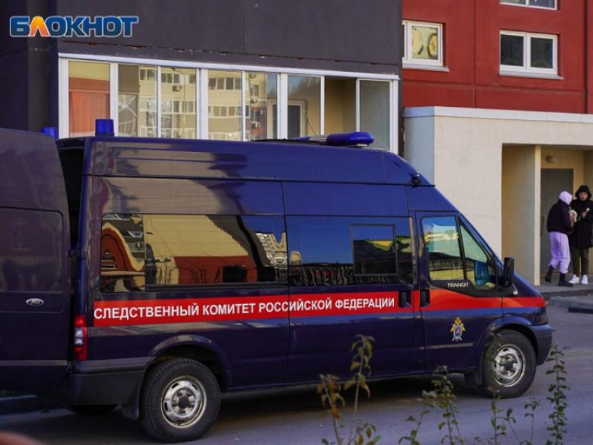 СК РФ займётся расследованием удара сбитого дрона ВСУ по женщине в Воронежской области