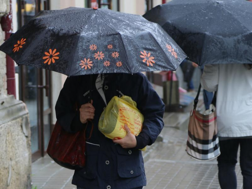 Синоптики рассказали, когда в Воронеже наступит метеорологическая осень