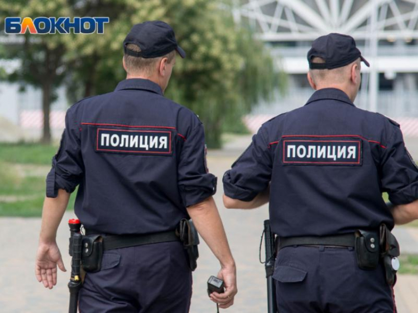 За «беспричинное и публичное» оскорбление полицейского будут судить жительницу Воронежа 