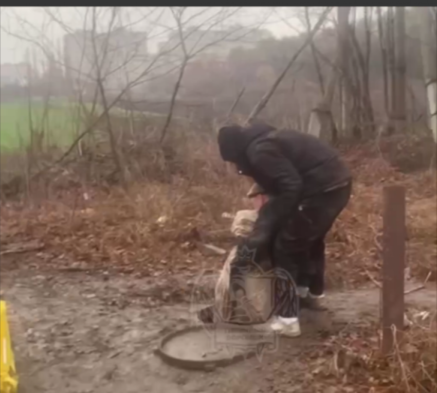 Чудесное спасение застрявшего в бетонных блоках пса попало на видео в Воронеже