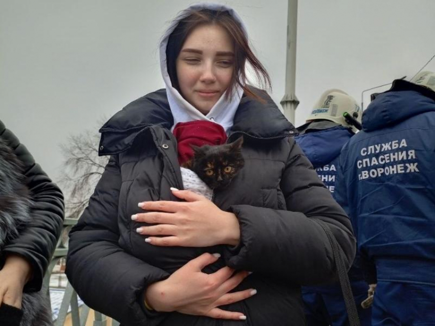 Опубликовано видео спасения котенка, вызволенного из бетонного плена в Воронеже 