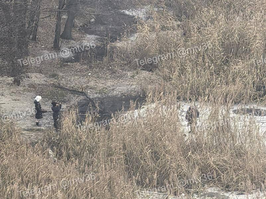 Детей заметили на тонком льду воронежского водохранилища