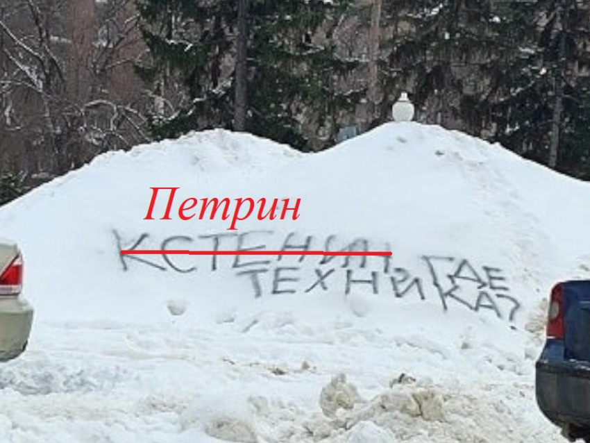 Выпавший на улицах Воронежа снег смогут убрать к апрелю следующего года?