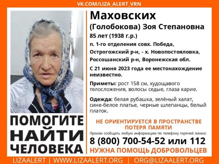 85-летняя бабушка исчезла в Воронежской области 