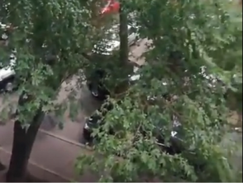 Бушующая непогода с сильным ветром в Воронеже попала на видео