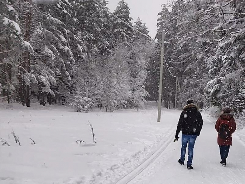 Холодный садик закроют в Воронеже