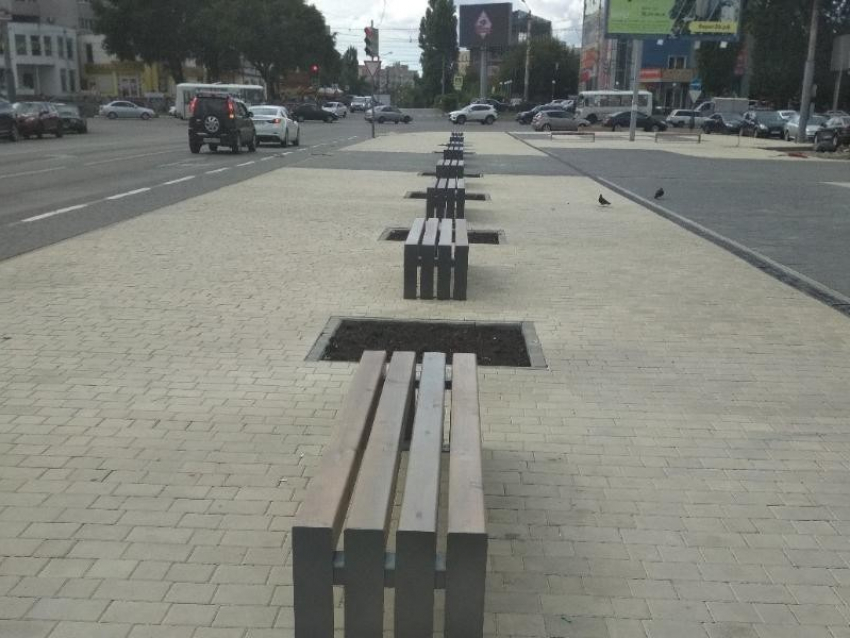 Воронежцы отвергли проект ярмарки у автовокзала на Димитрова