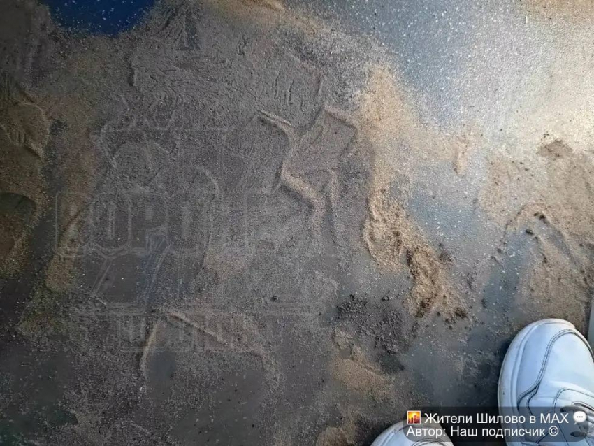 "Пыльный разврат» заметили в воронежском автобусе