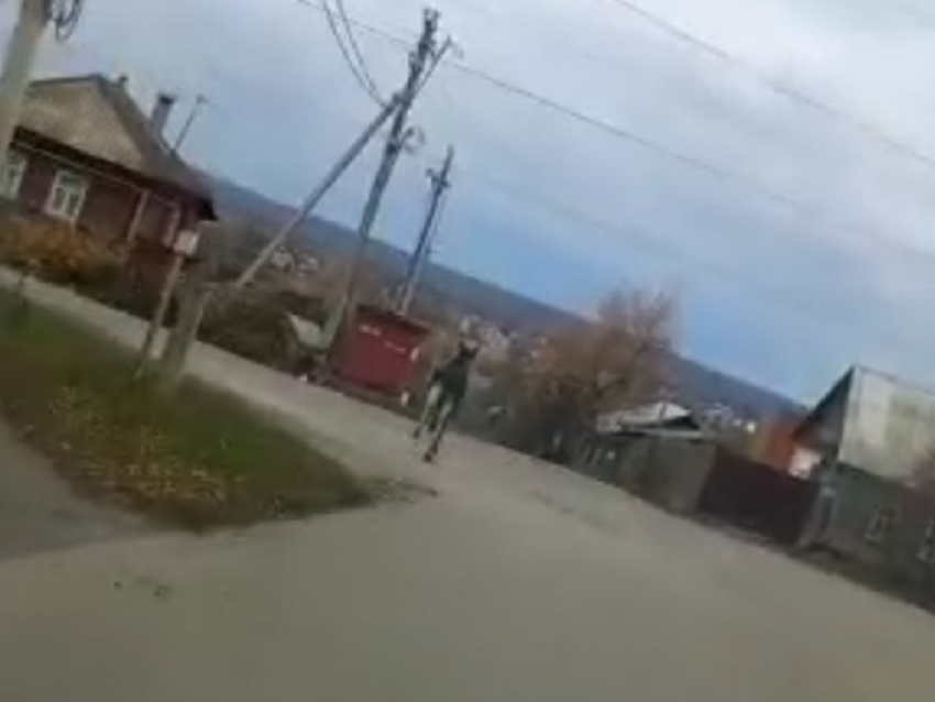 Стремительно галопирующего лося, бегущего по Борисоглебску, сняли на видео 