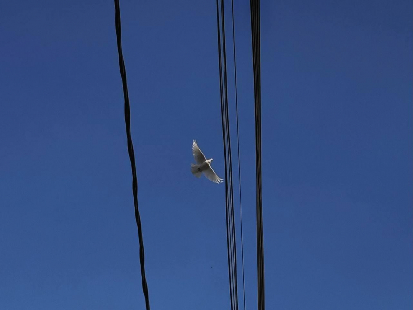 Давление пляшет, дождь не кончается: погода на неделю в Воронеже