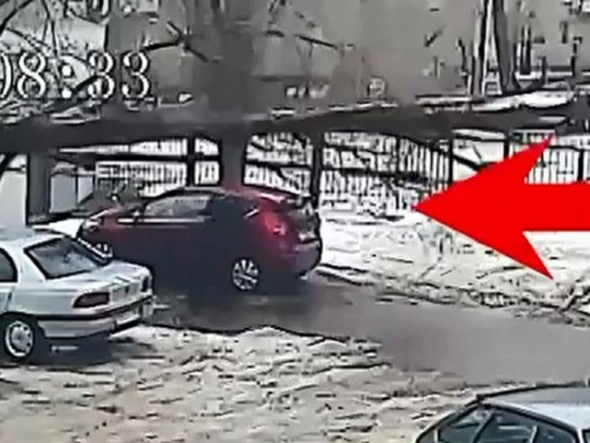 Следователи и прокуроры проверят ЧП с падением дерева на женщину у лицея №6 в Воронеже