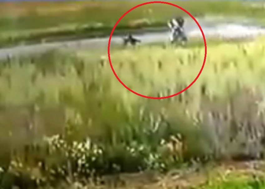 50-метровый полет мотоциклиста после аварии сняли в Воронеже