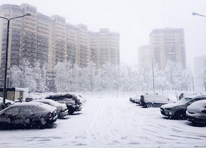 Синоптики пообещали ежедневные снежные бури в Воронеже