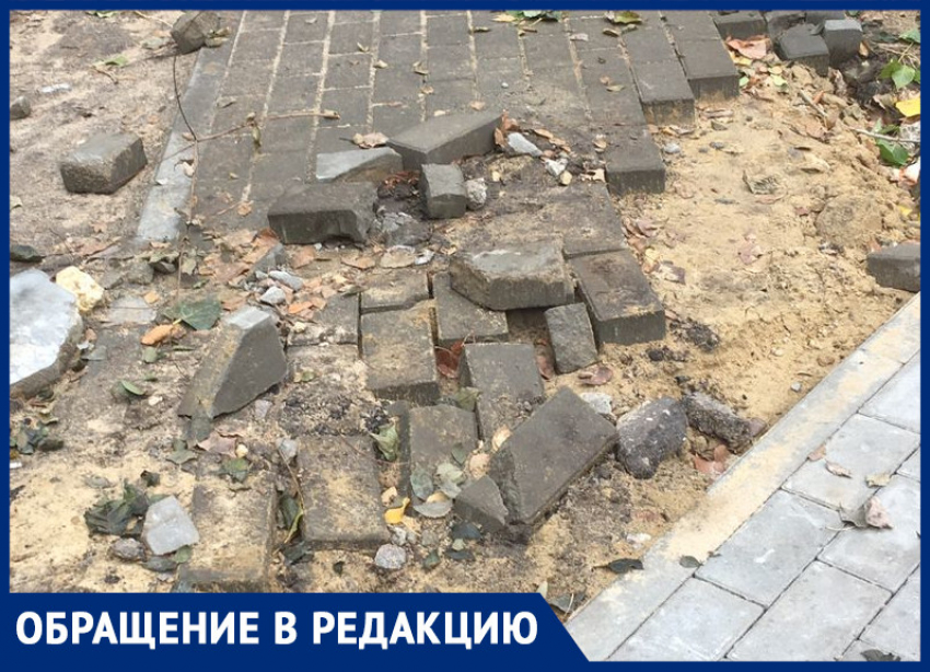 «Для чего они там сидят – непонятно»: жительница Воронежа рассказала, как работает отдел по благоустройству в районной управе