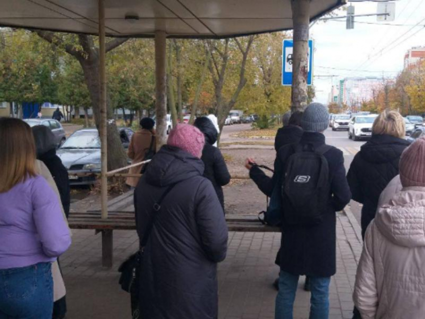 На квест повышенной сложности обрекает воронежцев маршруточное безобразие