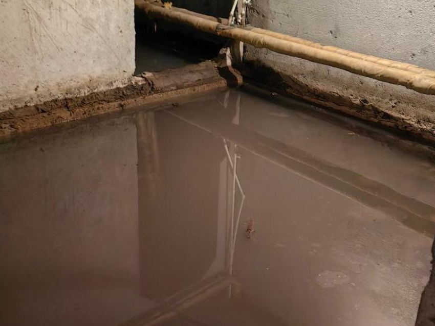 Ароматная канализация затопила подвал в Воронеже