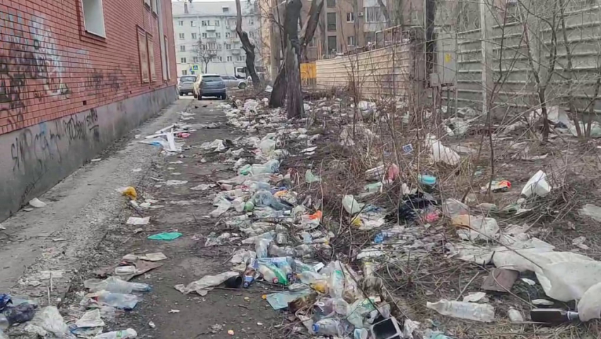 Проблема с мусором достигла невыносимых масштабов в Воронеже