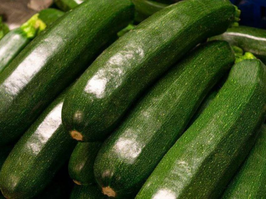 Самый мемный овощ: выяснили, где живут кабачковые фанаты