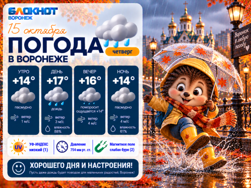 «Смываемся!»: прогноз погоды в Воронеже