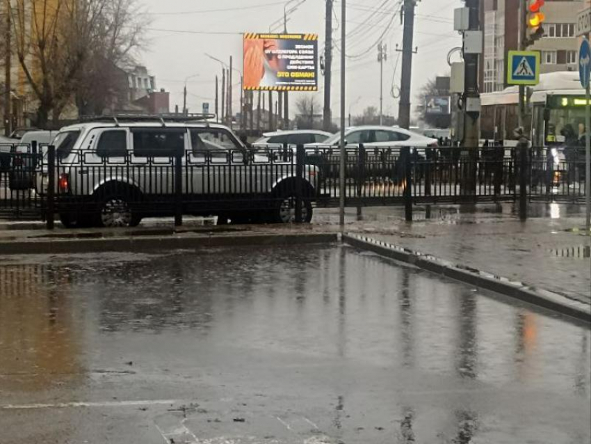 Плаваем каждую осень и весну: на старинную лужу пожаловались воронежцы