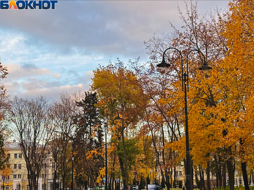  Чем удивит воронежцев короткая рабочая неделя