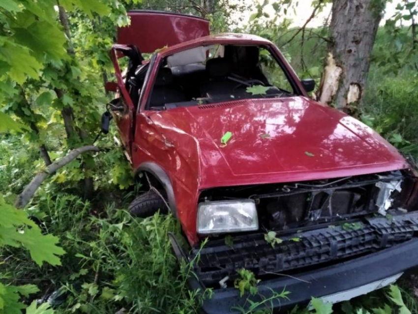 Три ребенка пострадали в ДТП с иномаркой в Воронежской области