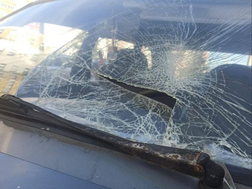 Жестокий поступок: кошку выбросили из окна в Воронеже 