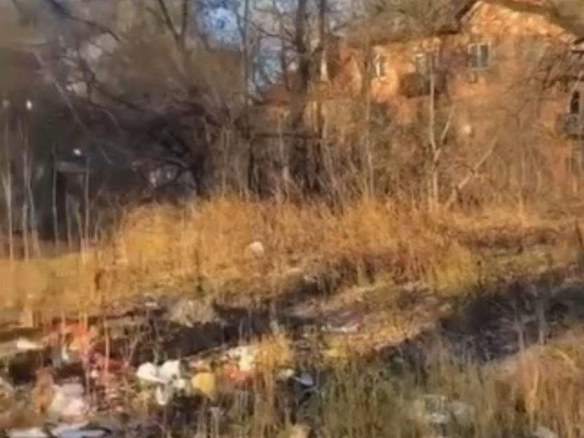 «Позор!»: блогер Варламов предложил воронежцам отнести мусор под окна мэрии Кстенина