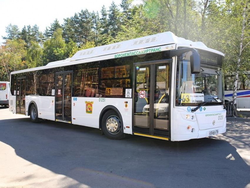 Долгожданные автобусы с кондиционерами №21 и 63 вышли на рейсы в Воронеже