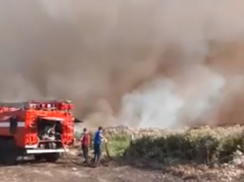 Сжигание мусора на поле превратилось в мощный пожар под Воронежем 