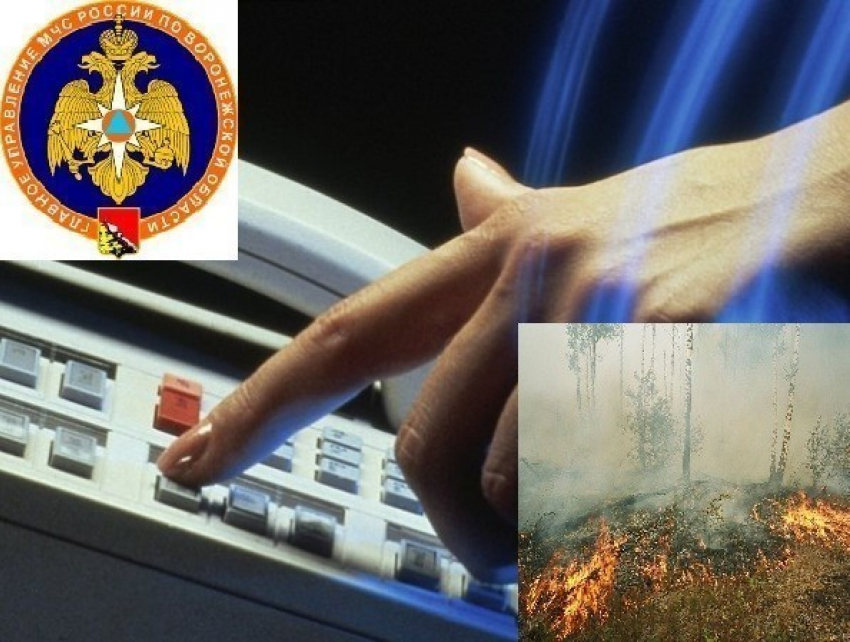 «Горячая линия» по пожарам работает в МЧС Воронежской области