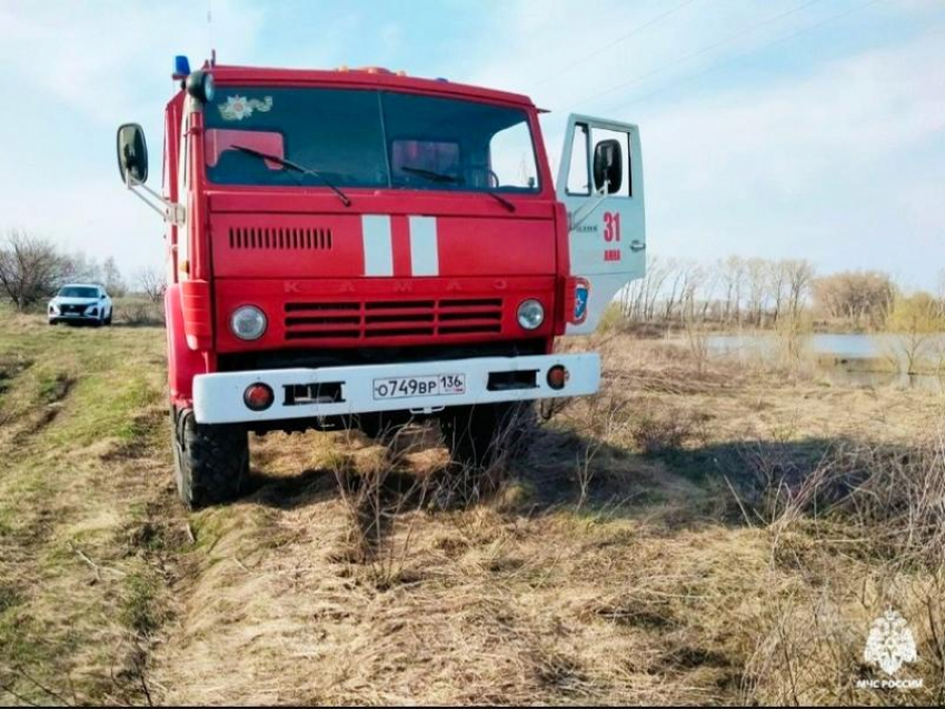 Жёлтый уровень погодной опасности объявили в Воронежской области из-за пожаров