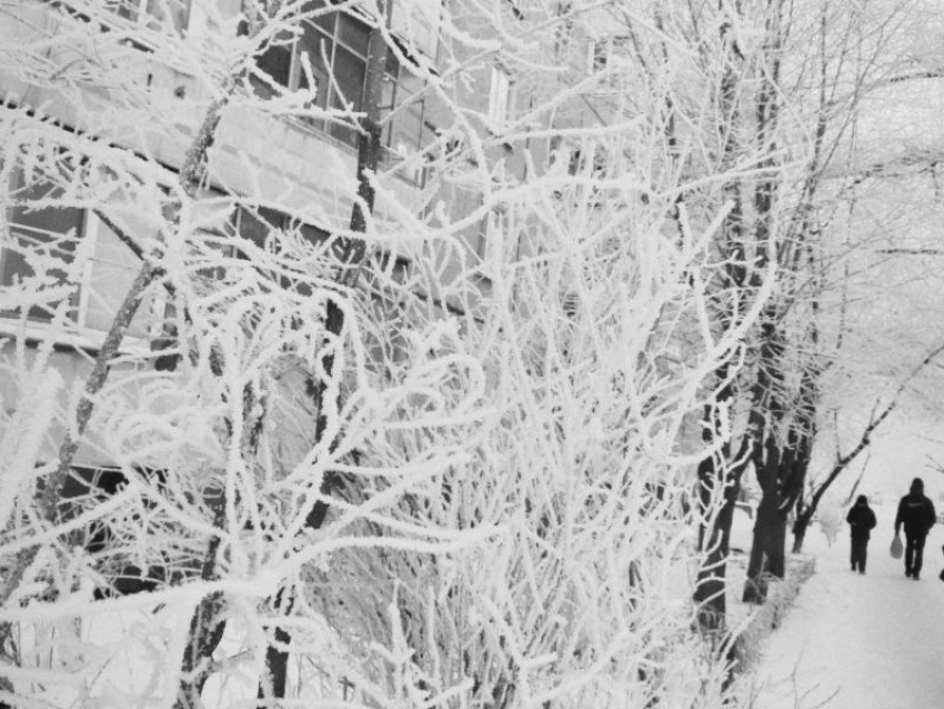 Как долго сибирский антициклон будет морозить Воронеж, рассказал главный метеоролог региона 