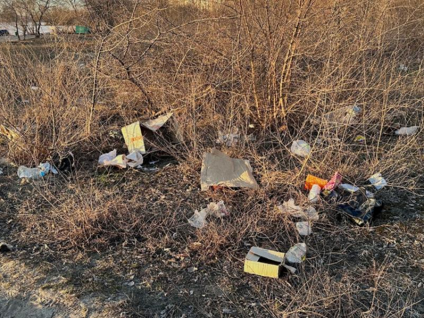 Мусорные «подснежники» возмутили жителей Воронежа