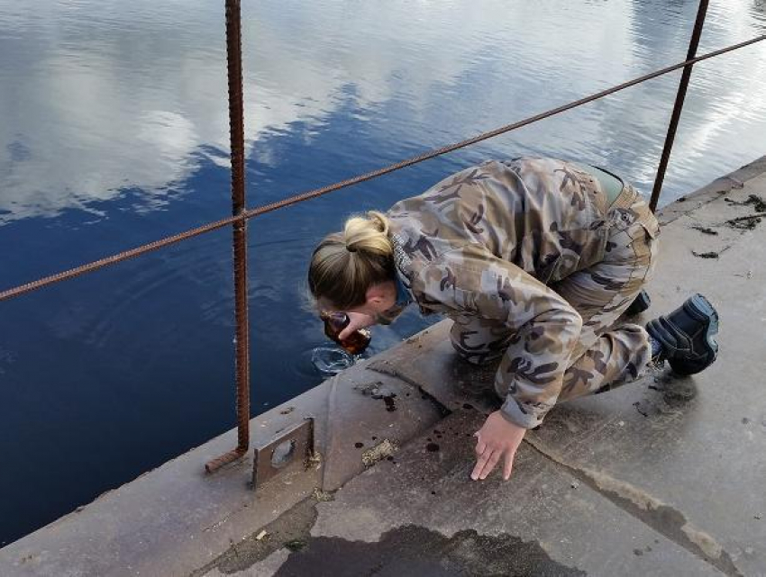 Запрещенный препарат ДДТ нашли в водоемах Воронежского заповедника