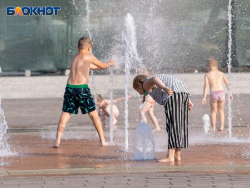 Будущая аномальная жара привела к оранжевому уровню погодной опасности в Воронежской области