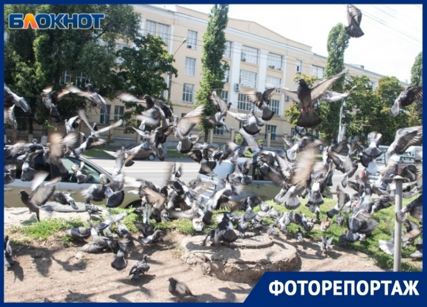 Что происходит на улице, соединяющей берега Воронежа 