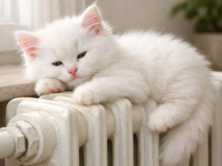 Тепло и горячую воду отключили в Воронеже из-за аварии 