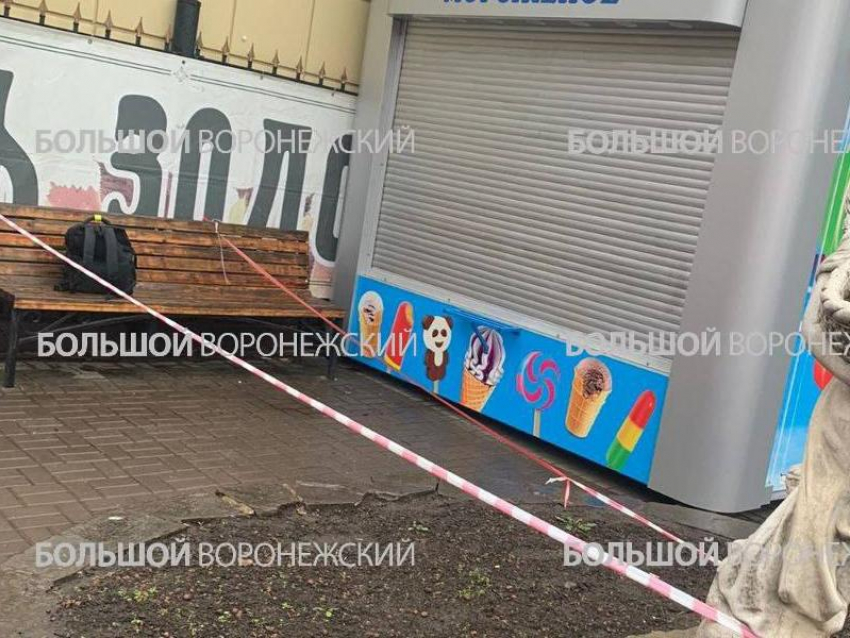 Выяснилось содержание странной находки в Воронеже