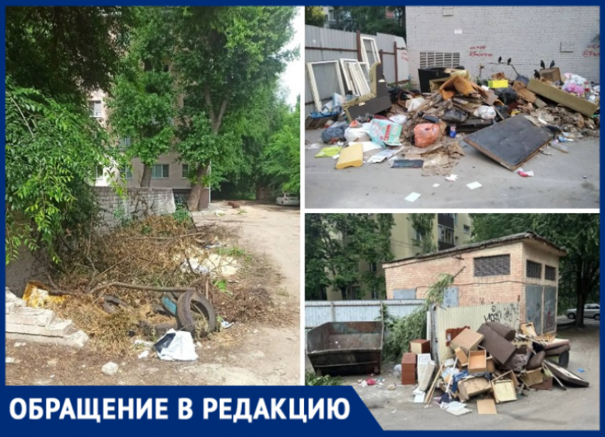 Воронежские дворы зарастают мусором из-за бездействия УК и ГЖИ?