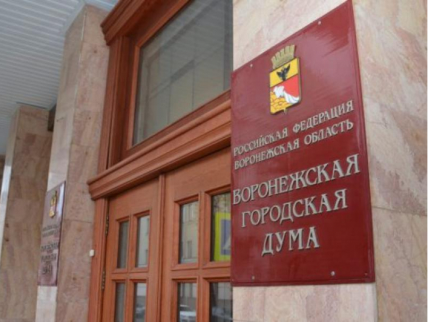 В гордуму внесена инициатива о возврате прямых выборов мэра Воронежа