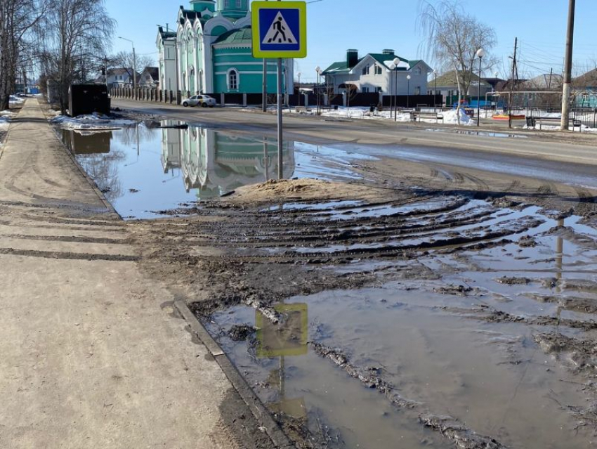 О перманентном «болоте» на переходе рассказала жительница Воронежа