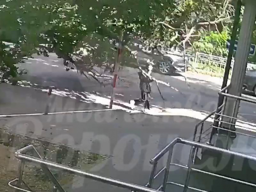 В 2 года колонии оценили жизнь 19-летней девушки, погибшей из-за падения дерева в Воронеже