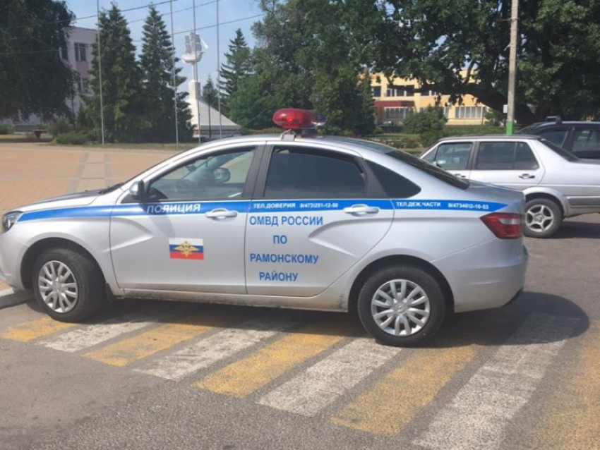 Парковку полицейских на зебре убедительно оправдали под Воронежем