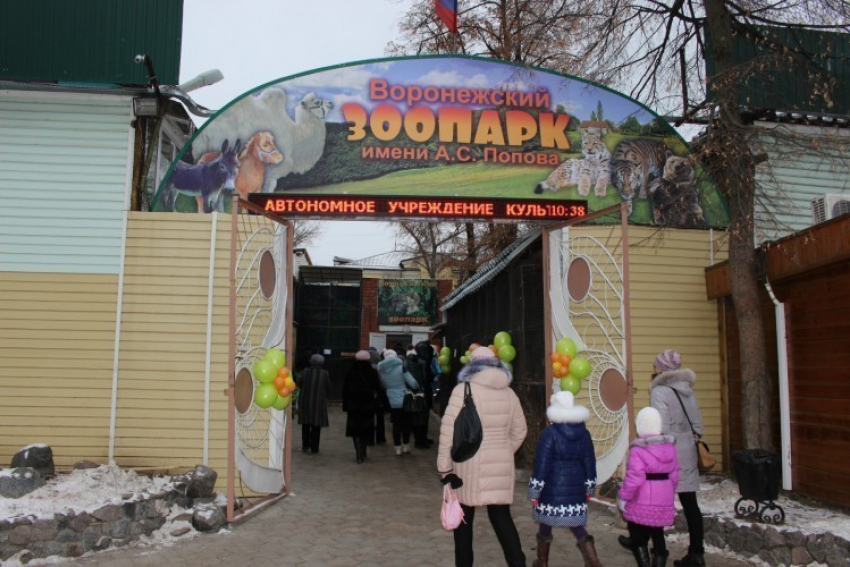Воронежский зоопарк ищет волонтеров для уборки территории