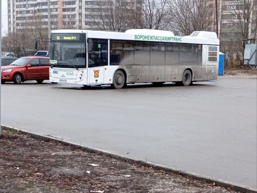 Чумазый автобус пристыдили в Воронеже